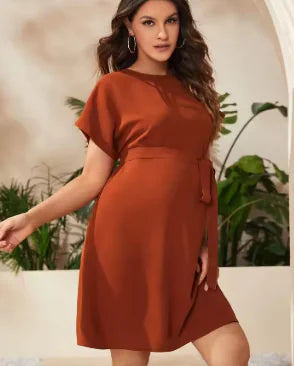 Maternity Bat Sleeve Girdle Dress